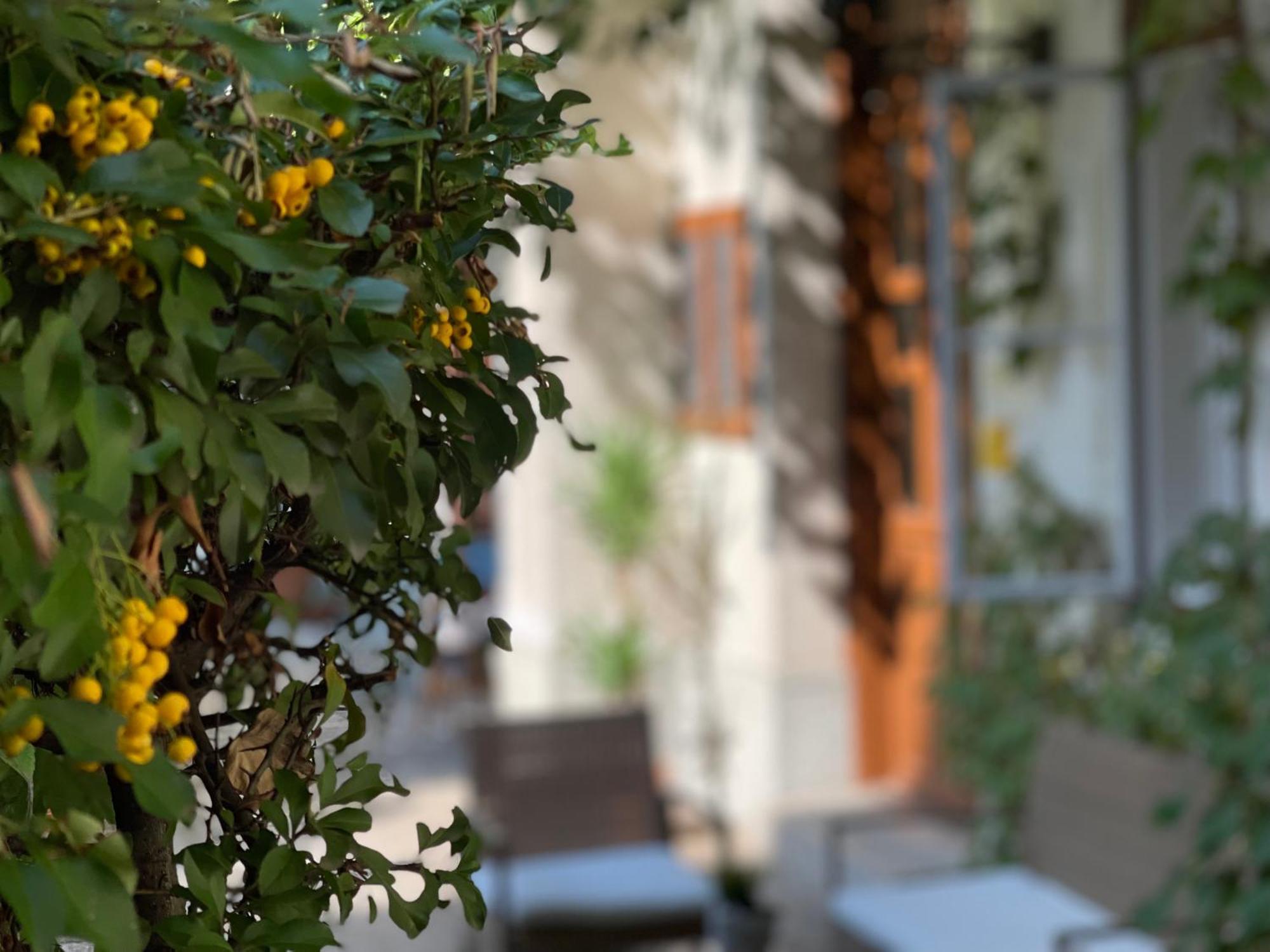 Palms Apartments 부다페스트 객실 사진